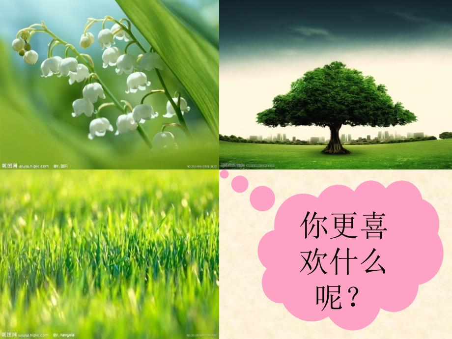 s版小学四年级语文上册17-小草之歌--ppt_第1页