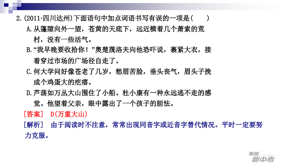 九年级中考专题复习：《汉字》课件课件_第3页