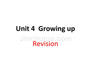 牛津译林版九年级英语上册-unit4-revision(复习专用)(共24张ppt)