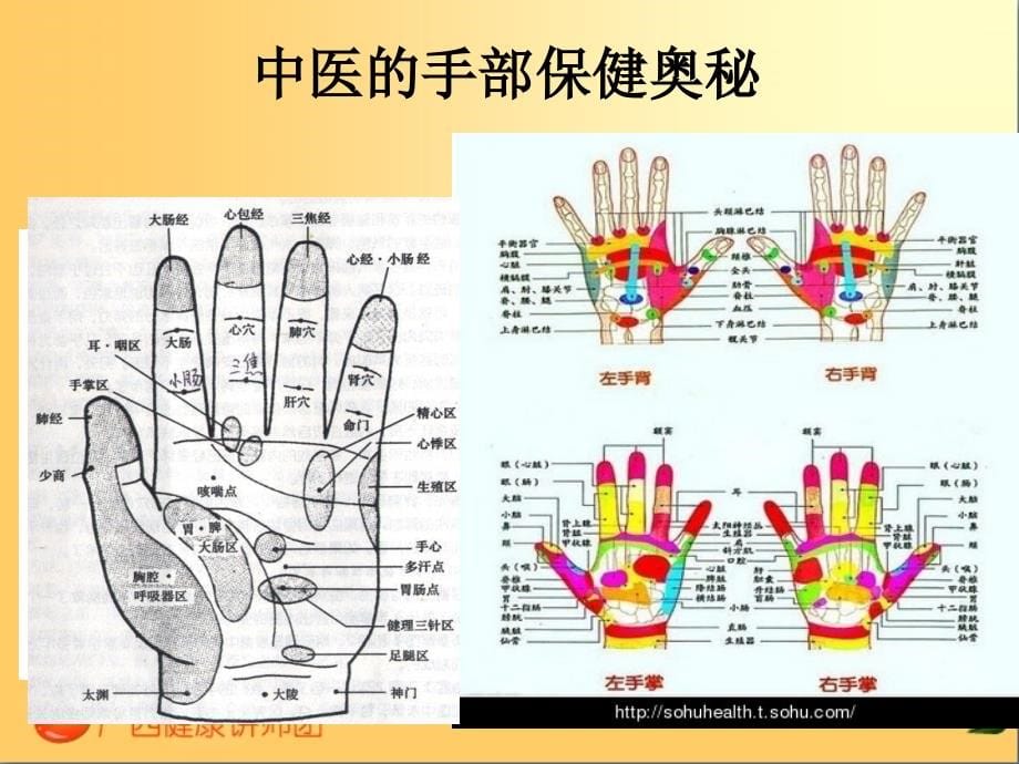 公,科学养生实现健康梦(职工0524)_第5页