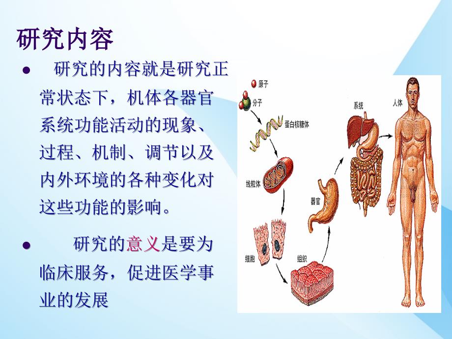 课件：生理学基础-绪论ppt课件_第3页