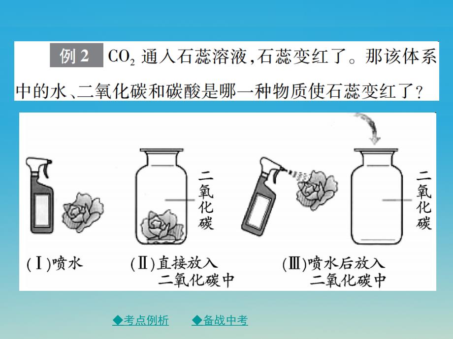 中考化学总复习第二篇重点题型突破第24讲实验探究_变量控制问题课件_第4页