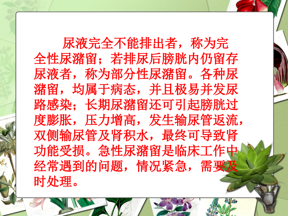 尿潴留护理_第4页