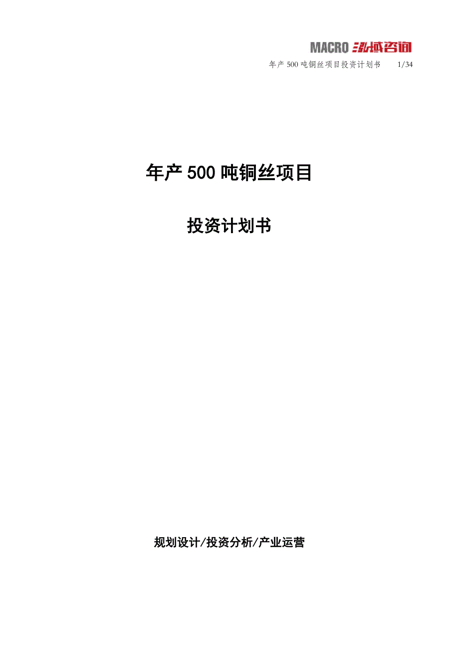 年产500吨铜丝项目投资计划书_第1页