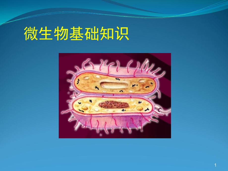 课件：微生物基础ppt课件_第1页