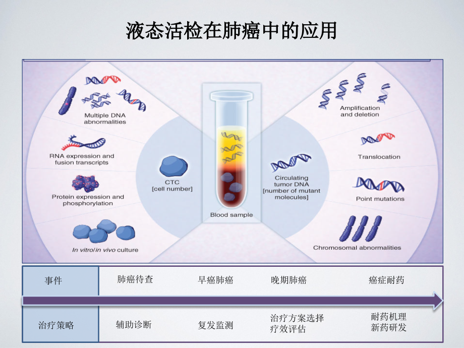 靶向pcr ctc检测技术,帮助临床医生更全面地评估肺癌_第4页