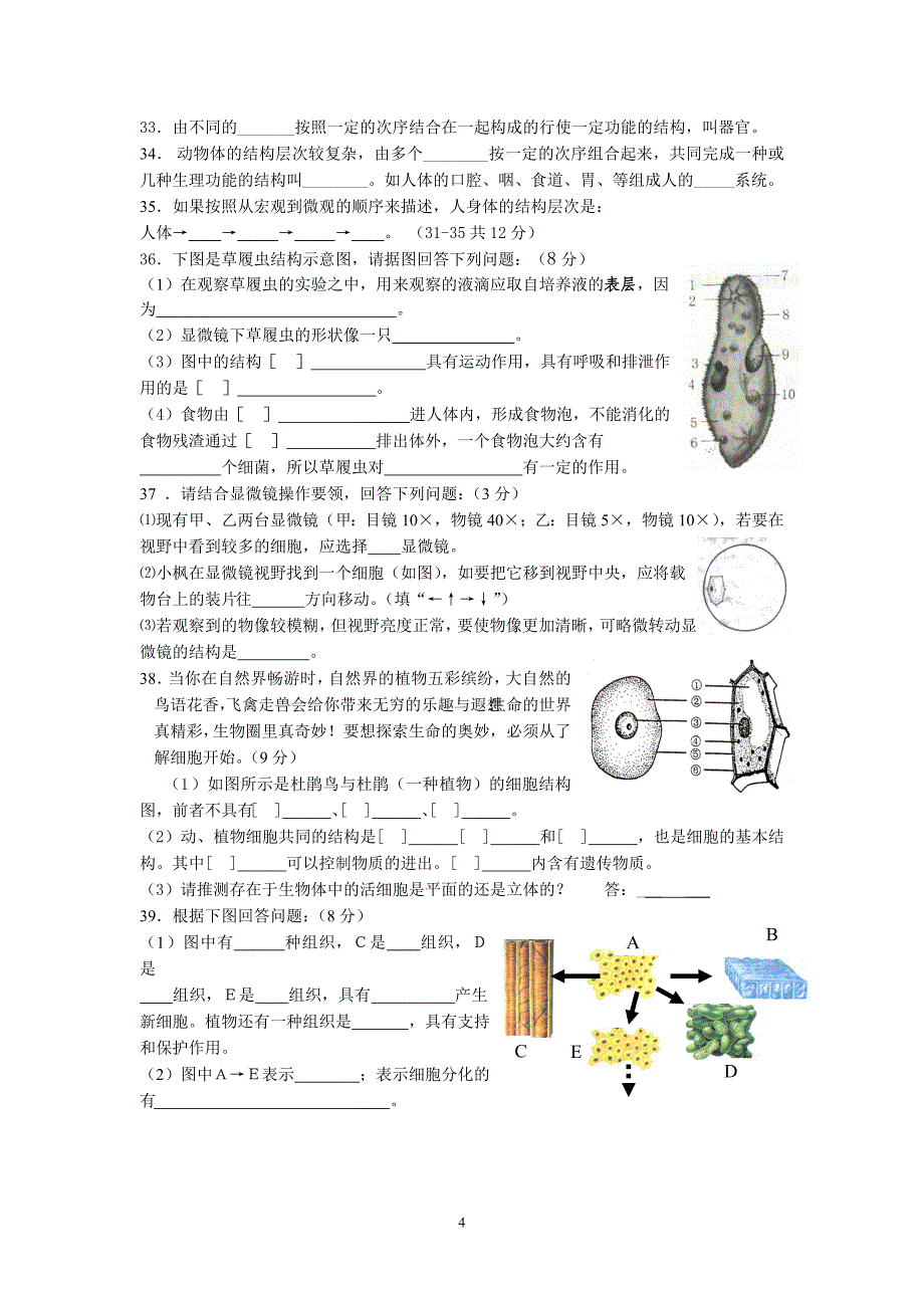 新人教版七年级生物学上册第二单元复习测试题_第4页