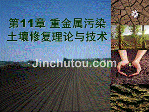 第11章-重金属污染土壤修复理论与技术(4h)-环境土壤学