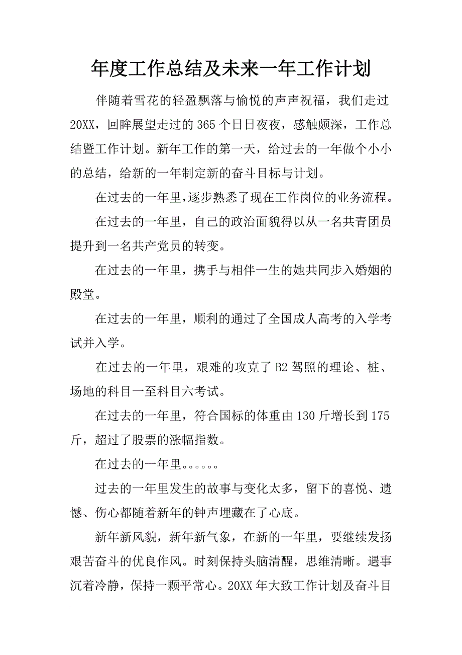 年度工作总结及未来一年工作计划_第1页