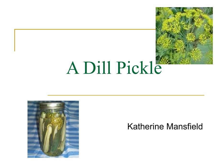 unit 03 a dill pickle 现代大学英语精读第三册第三单元_第1页