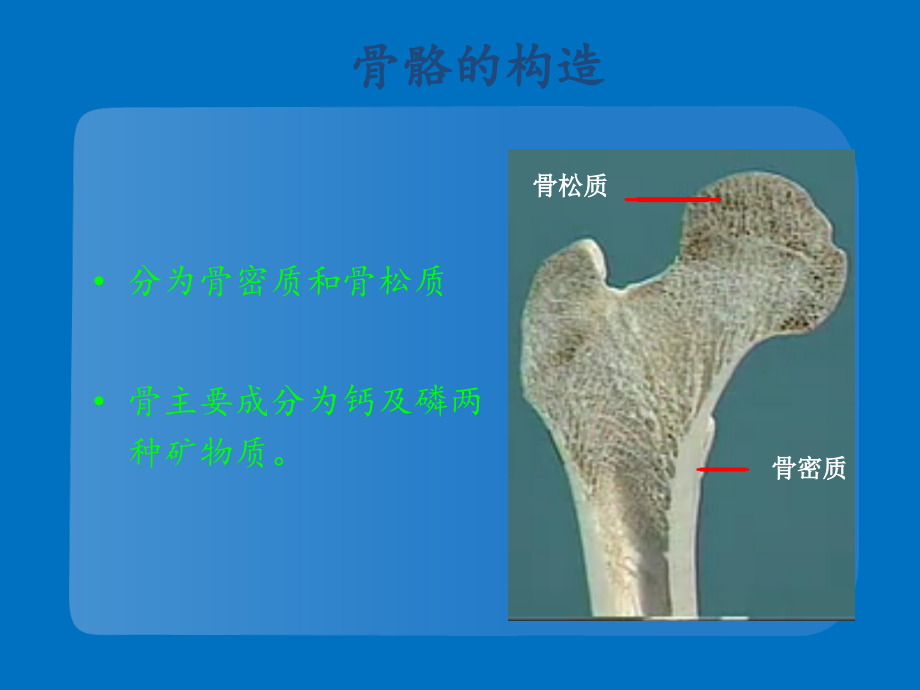 骨质疏松预防及用药注意事项_第3页