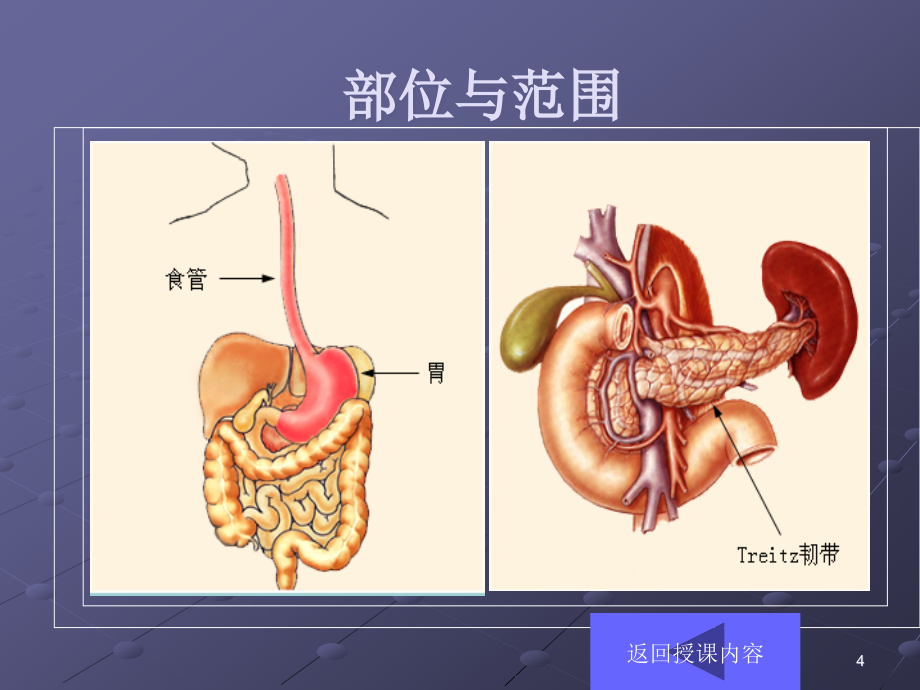 上消化道出血病人的护理ppt医学课件_第4页