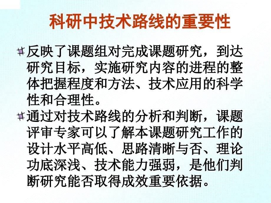 林斯坦__教育研究的技术路线和技术路线图_第5页