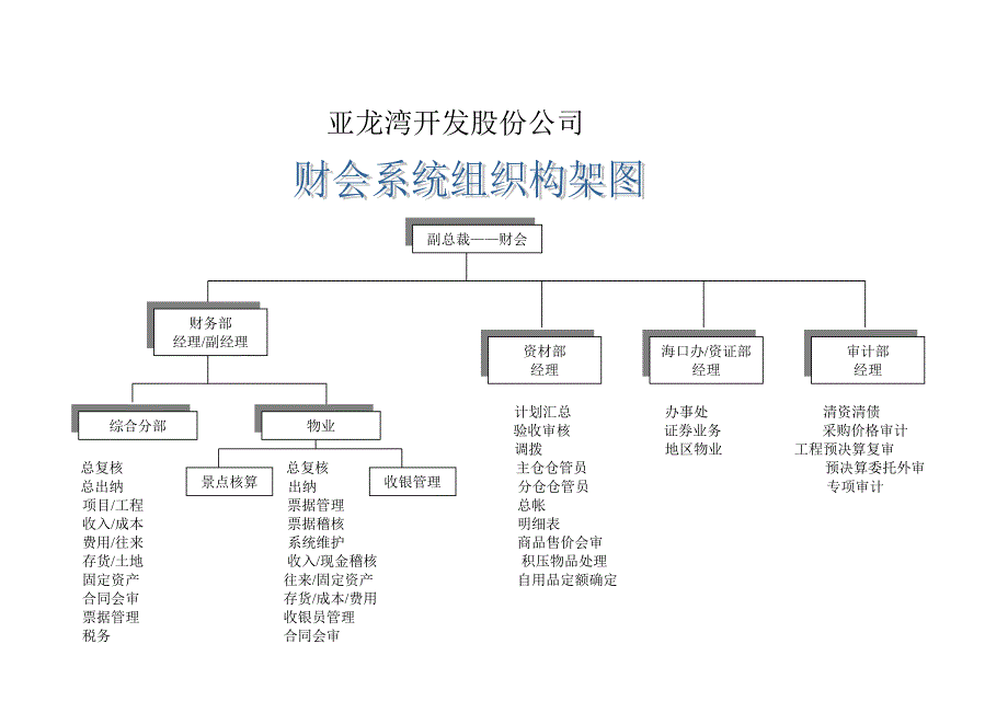 公司财务系统组织机构及岗位职责_第1页