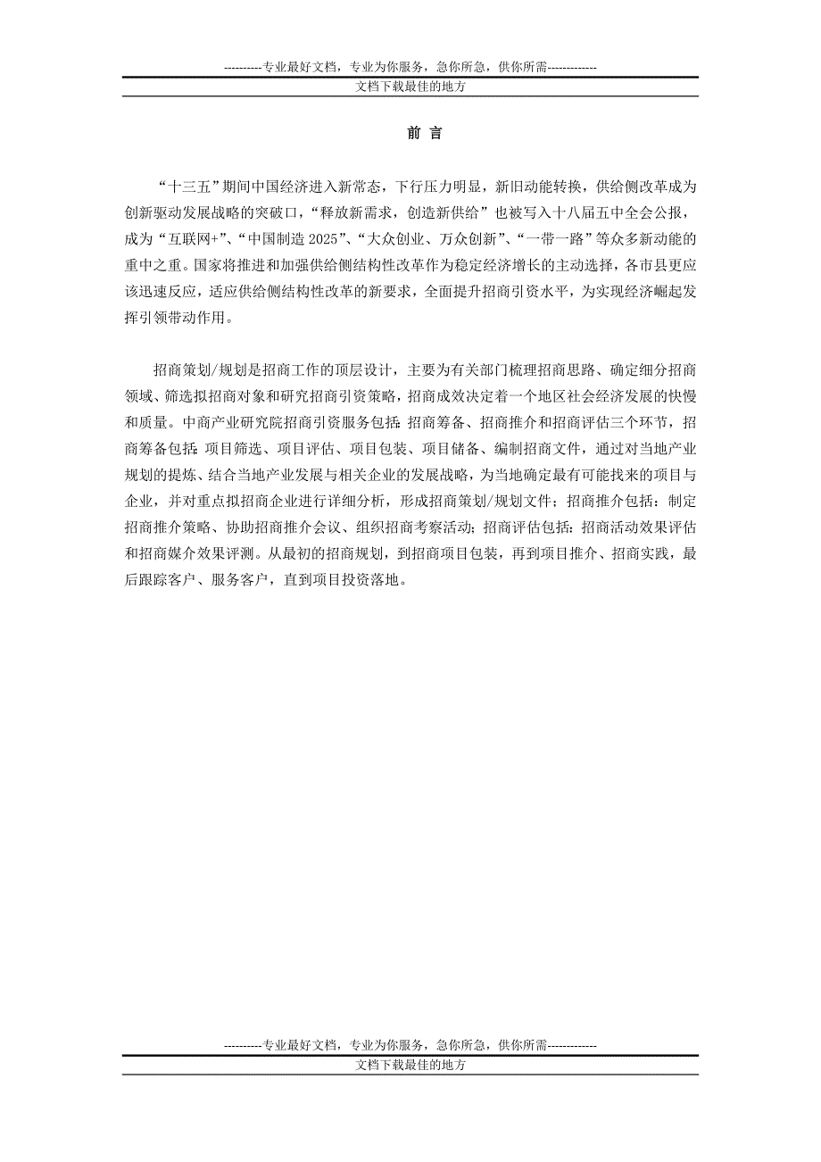 大名县招商引资策略报告_第2页