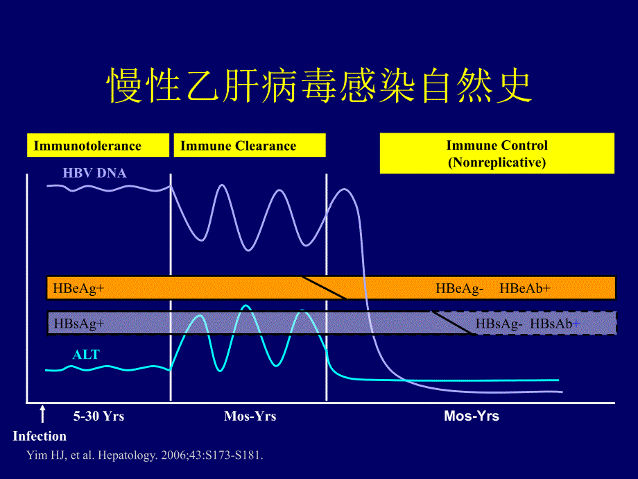 hbv再激活的防与治：梁树人_第3页