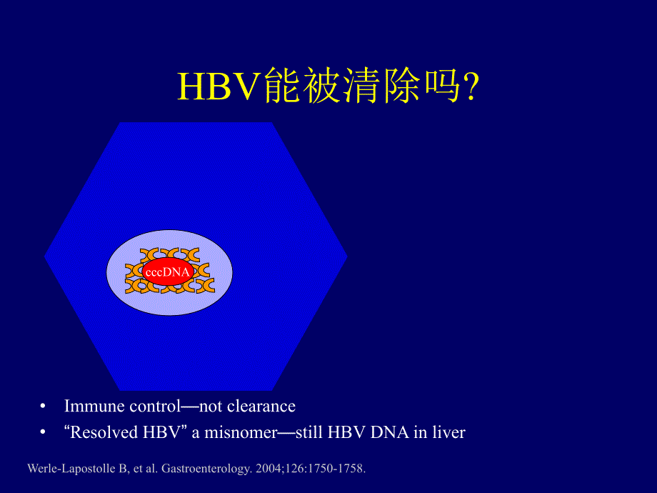 hbv再激活的防与治：梁树人_第4页