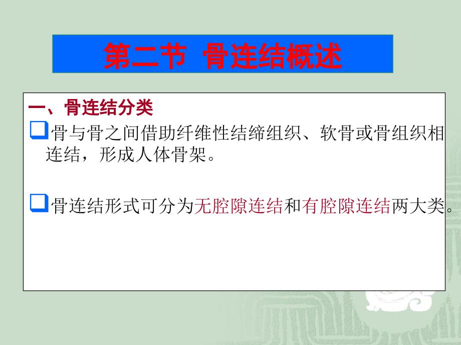 骨连接概述_第1页