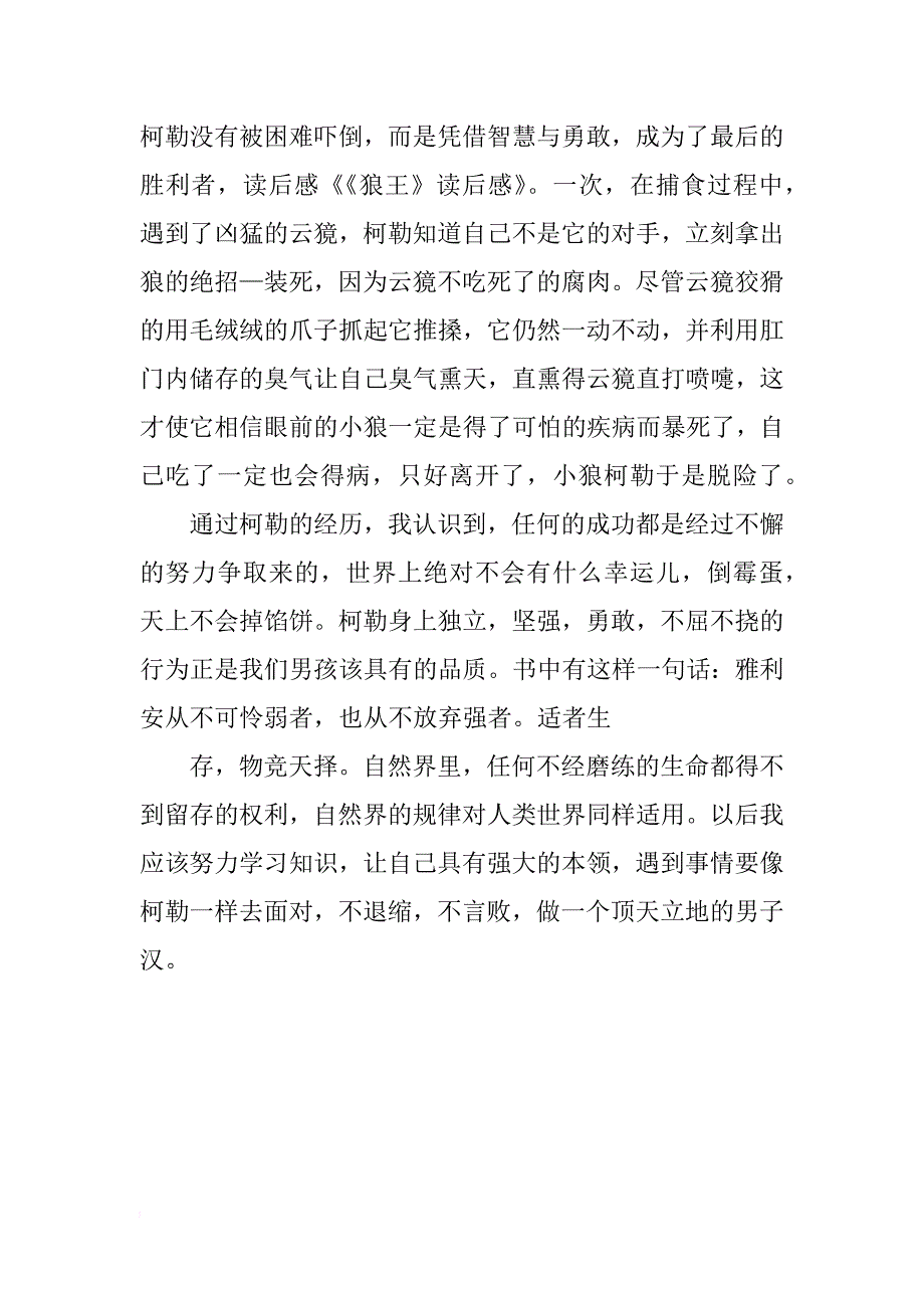 沈石溪雪国狼王读后感_第3页