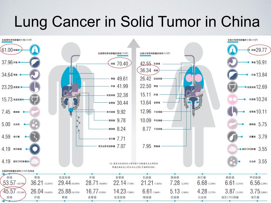 循环肿瘤标志物(ctc)检测技术在肺部小结节诊断中的最新进展1_第2页