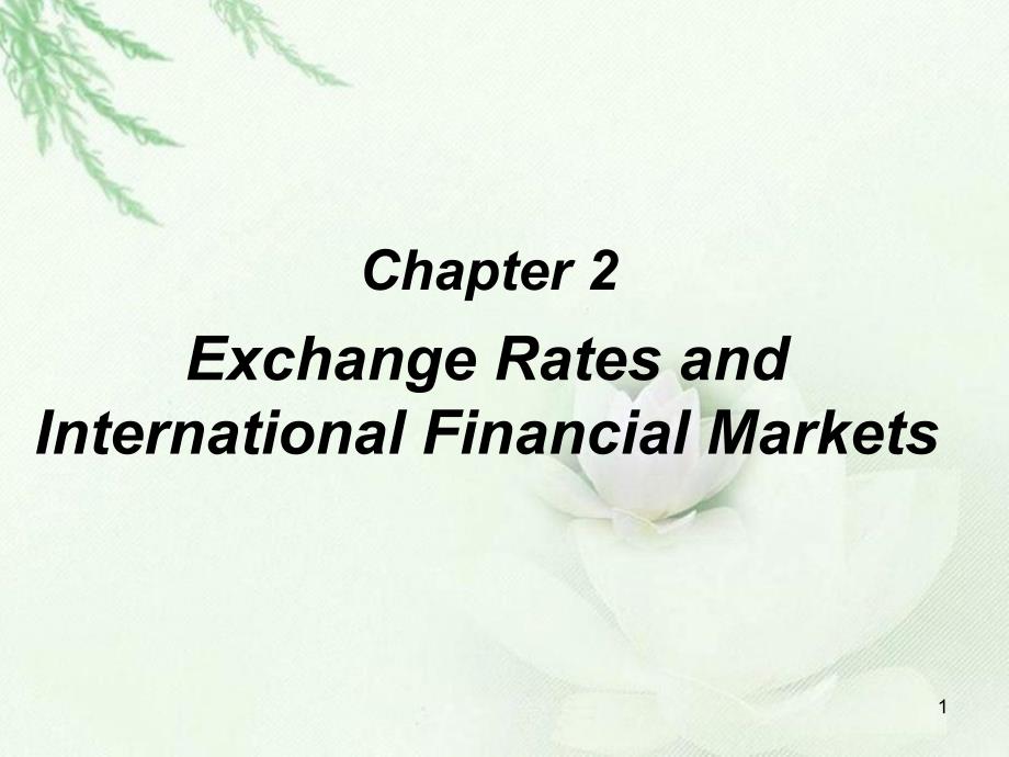 International-FinancialManagement-2国际财务管理课件_第1页
