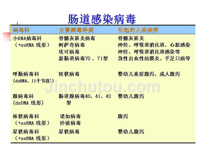 肠道、急性胃肠炎病毒_第2页