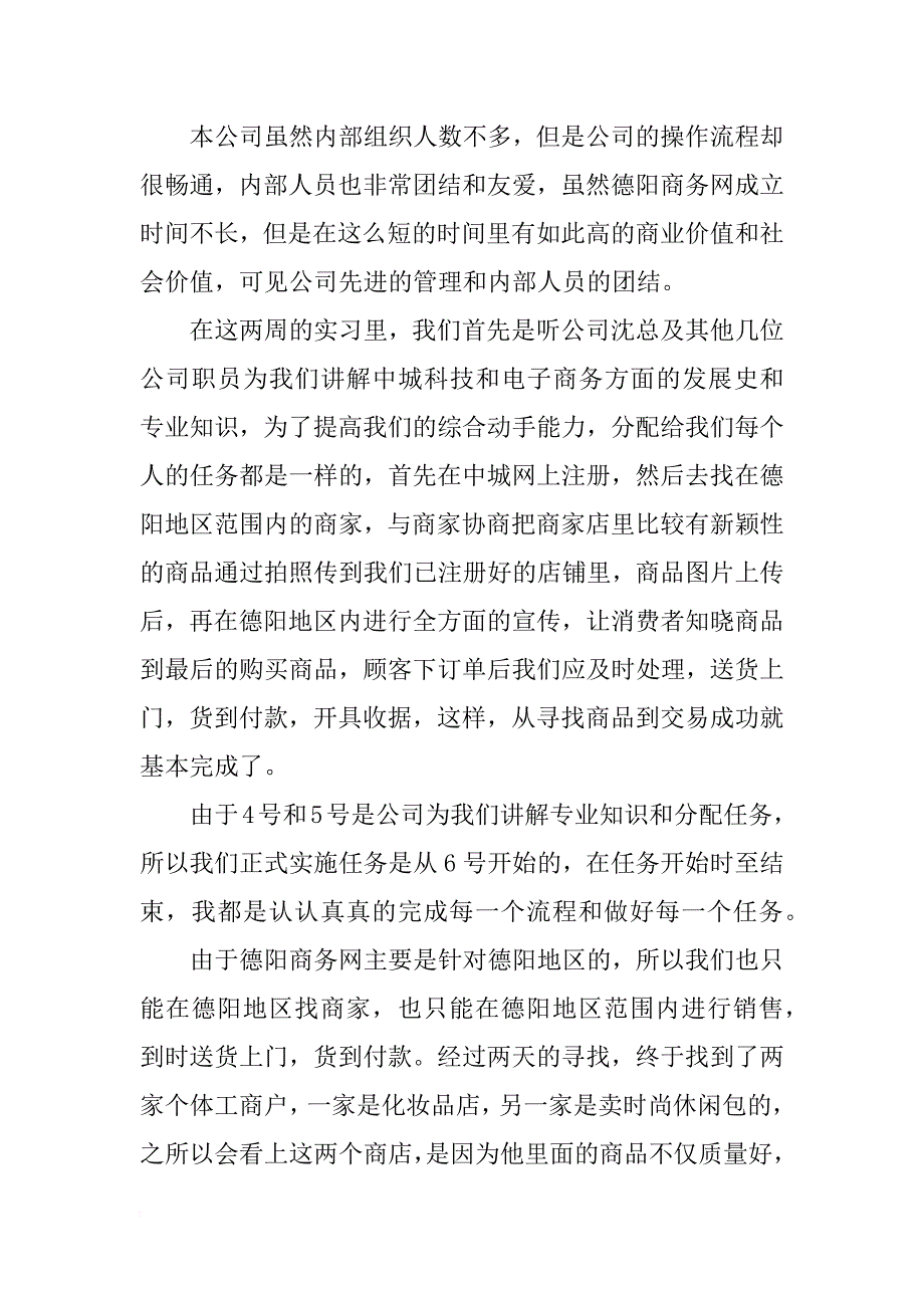 电子商务公司实习报告模板_第3页