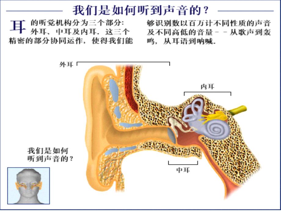 老年性耳聋_第2页