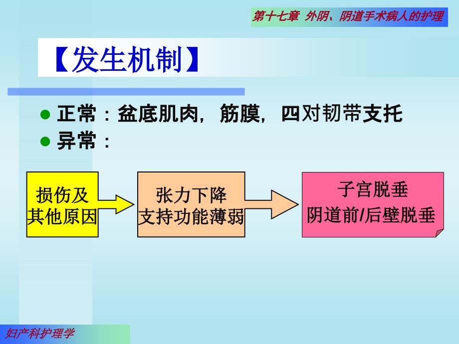 外阴阴道手术-子宫脱垂_第4页