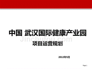 2012武汉国际健康产业园项目运营规划_62p_前期策划