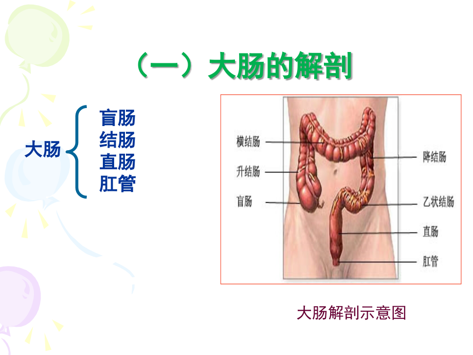 排泄(排便)_第4页