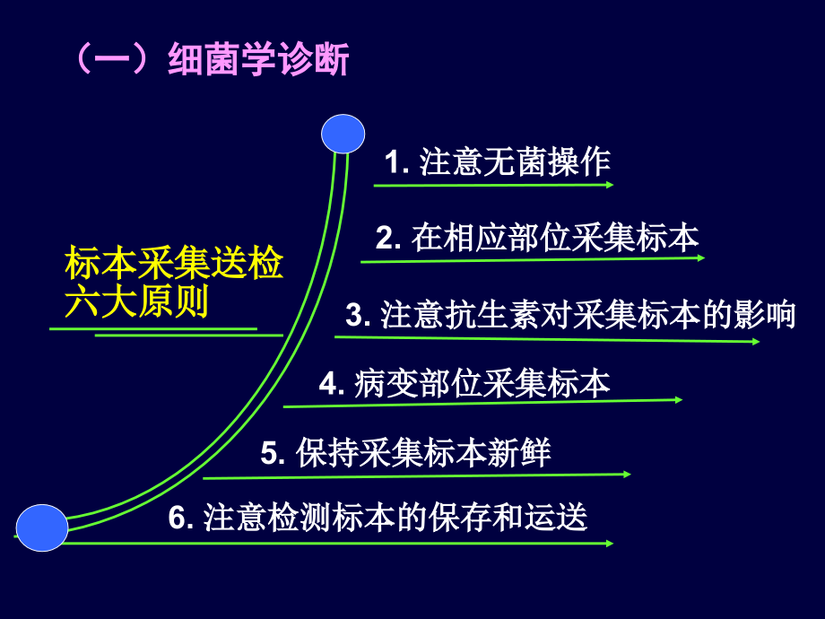 细菌检查_第3页