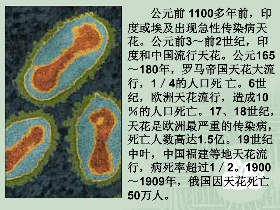 传染病模型_第3页