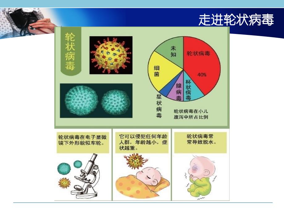 轮状病毒_第4页