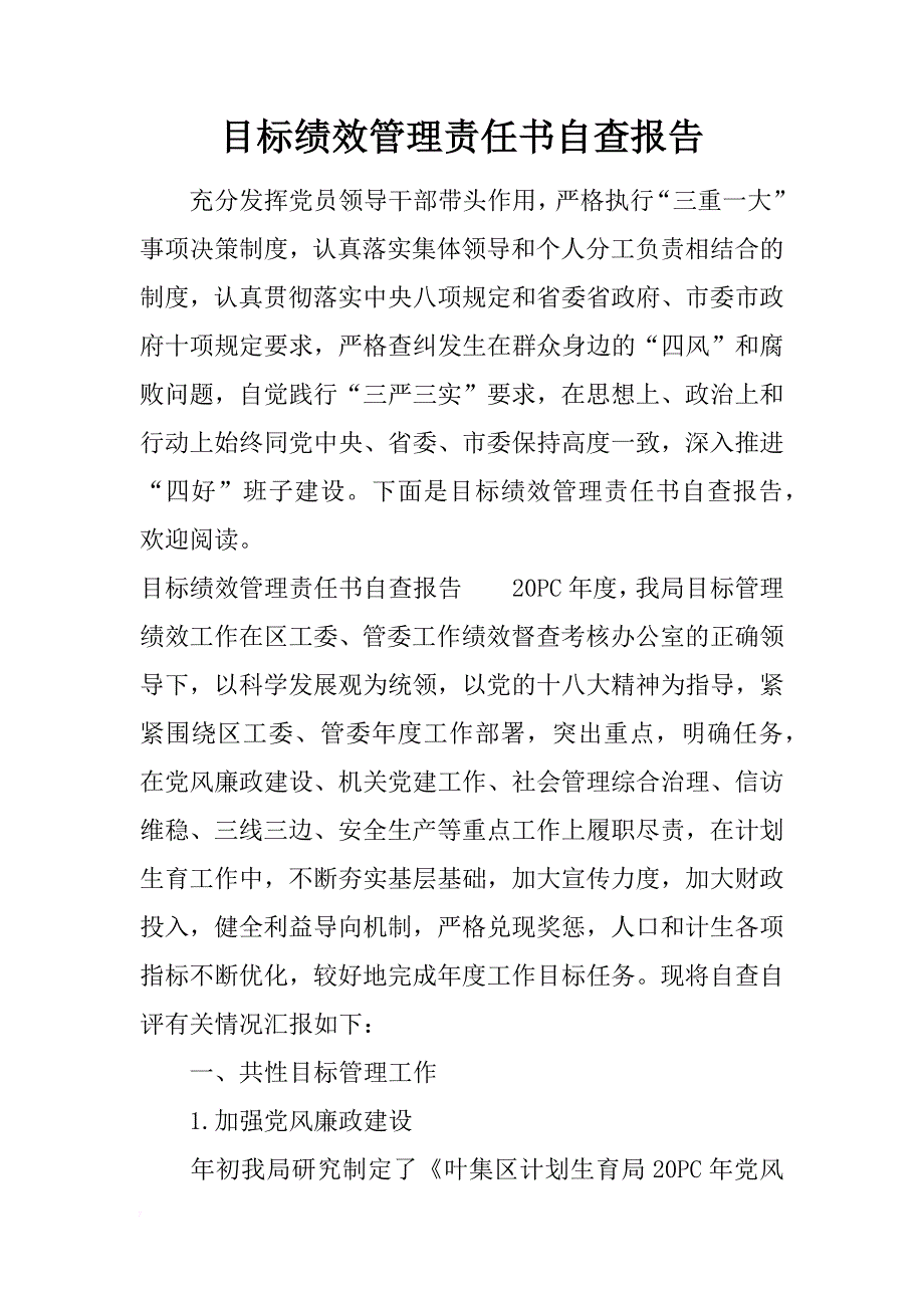 目标绩效管理责任书自查报告_第1页