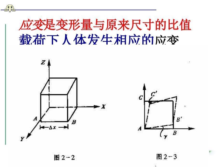 运动器系的生物力学_第5页