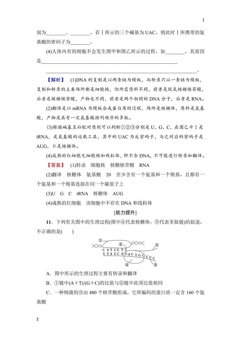 2017-2018学年高中生物人教版必修二练习：第4章 第1节 基因指导蛋白质的合成 学业分层测评11 Word版含解析_第5页