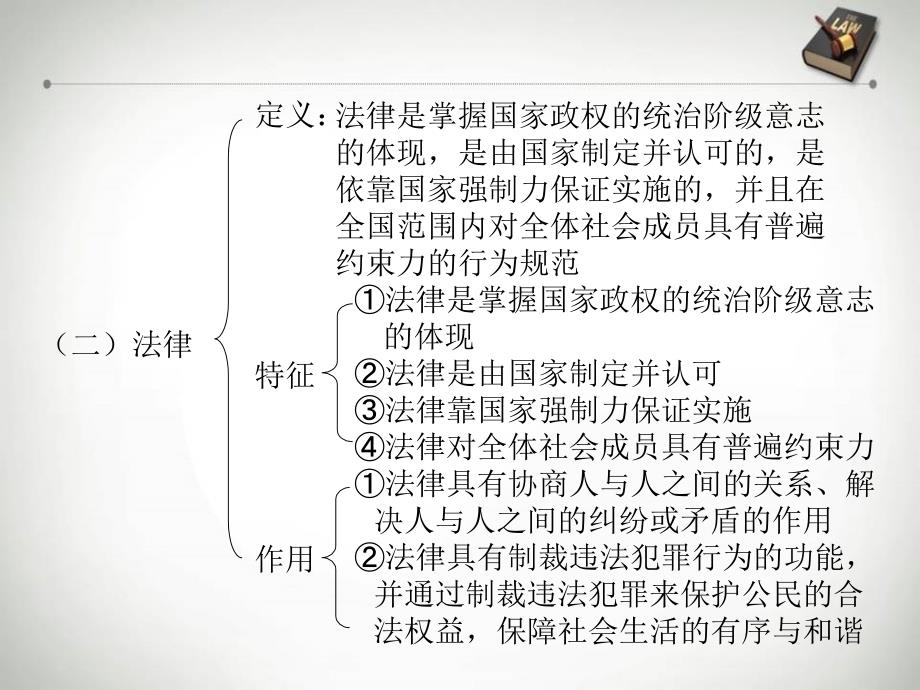 中考政治 法律基础知识复习课件_第3页