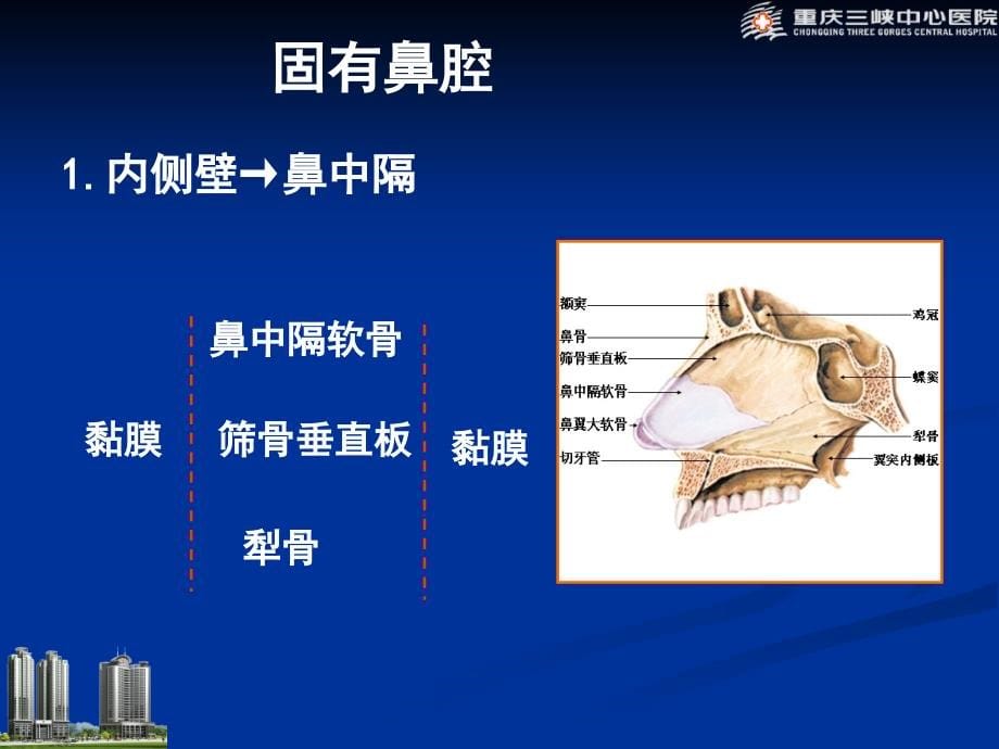 鼻腔、鼻窦炎性病变影像诊断_第5页