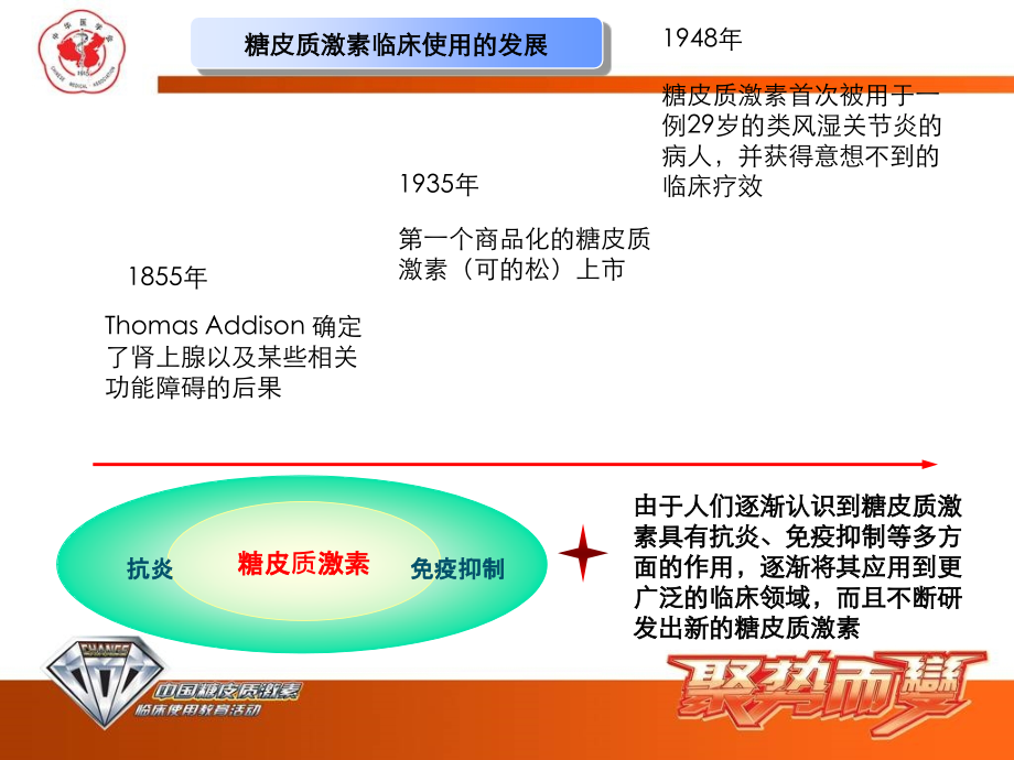 总论糖皮质激素总论-机理_第4页