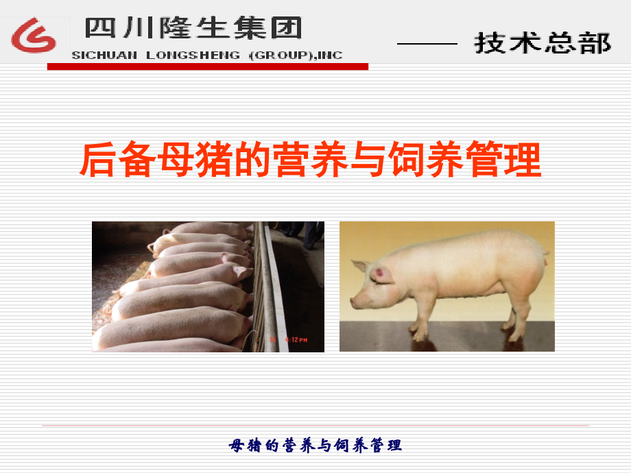 母猪营养与饲养管理_第3页