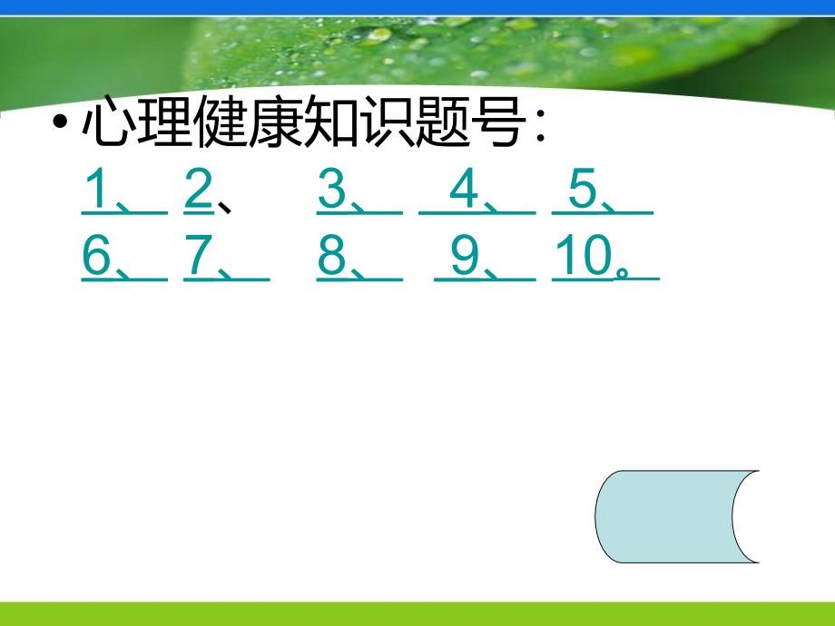 小学部法制安全知识抢大赛2_第4页