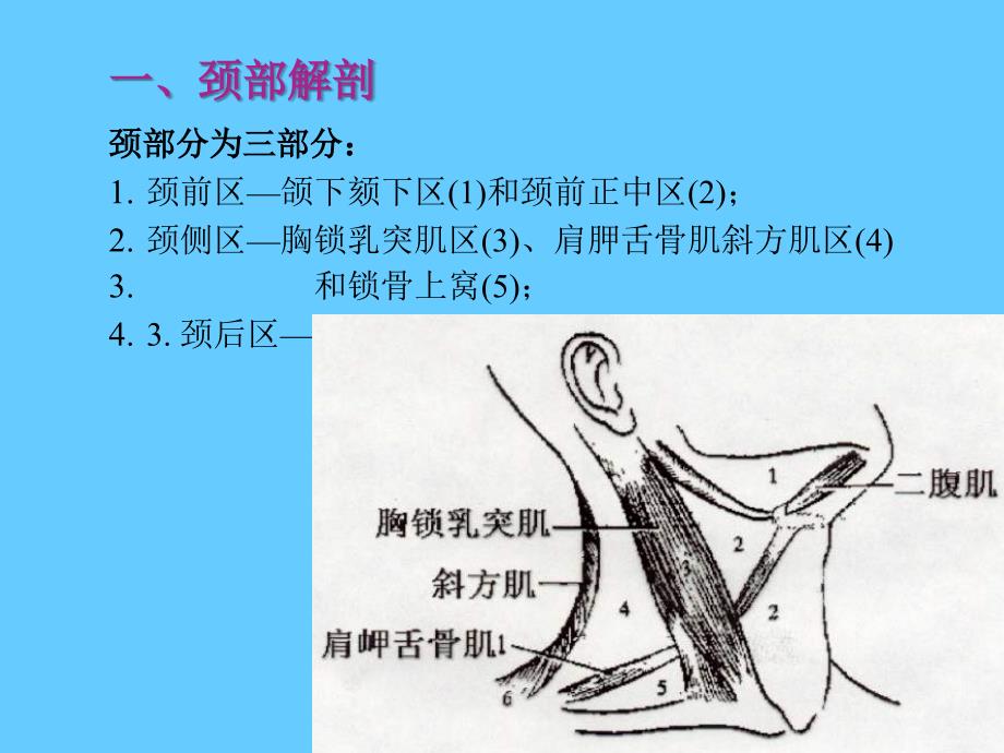 颈部肿块鉴别诊断_第3页