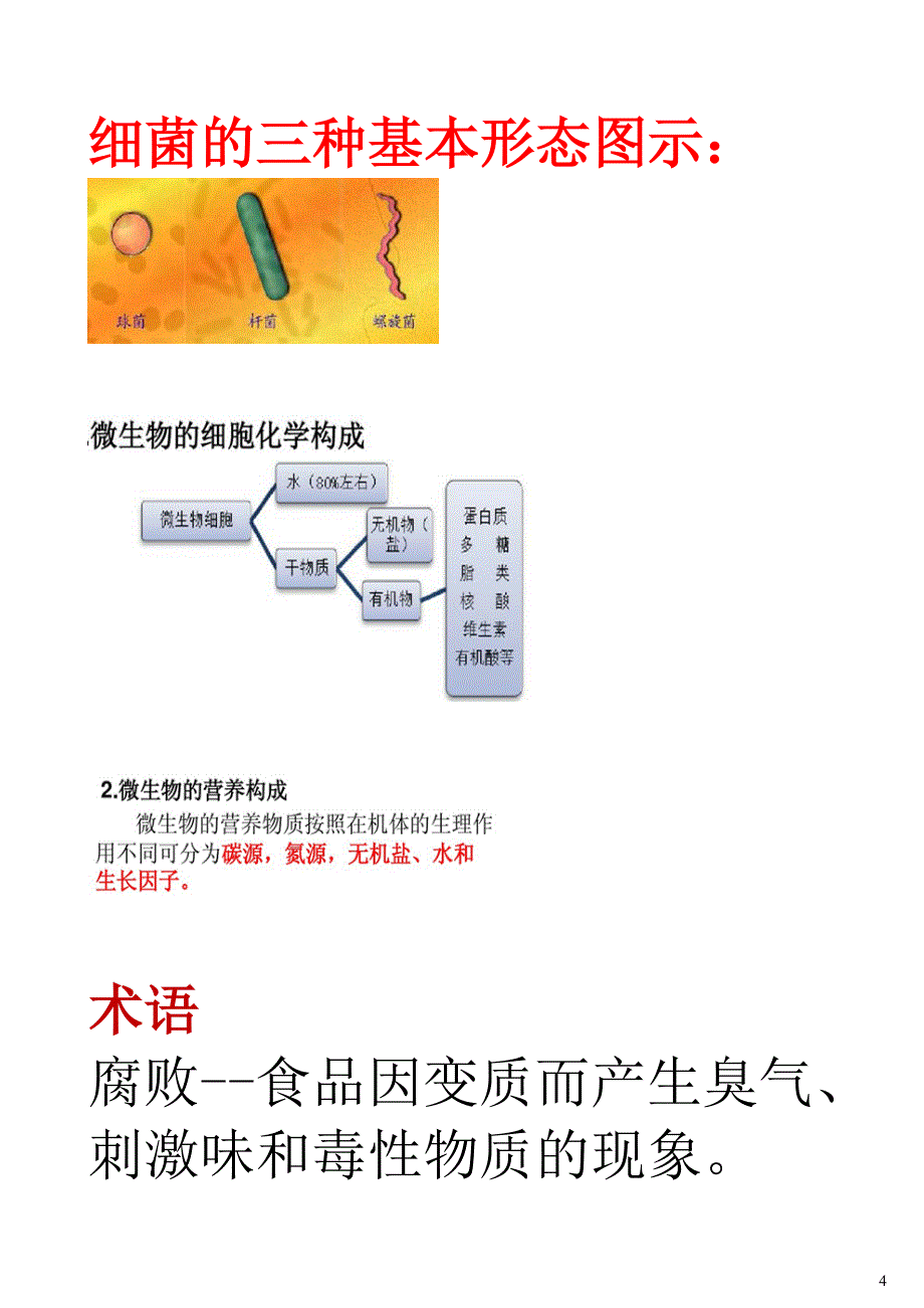 食品微生物基础知识,食品微生物学_第4页