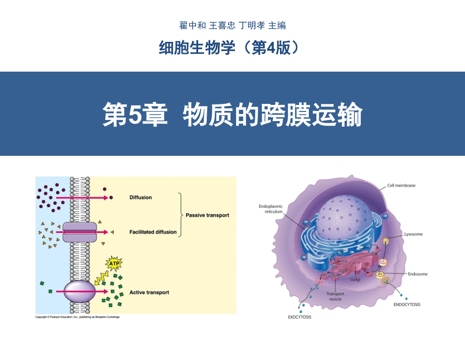 第5章--物质跨膜运输(翟中和第四版)_第1页