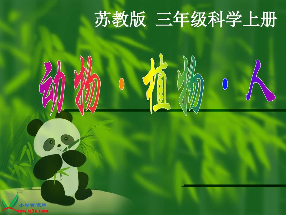 动物植物人》课件_第1页