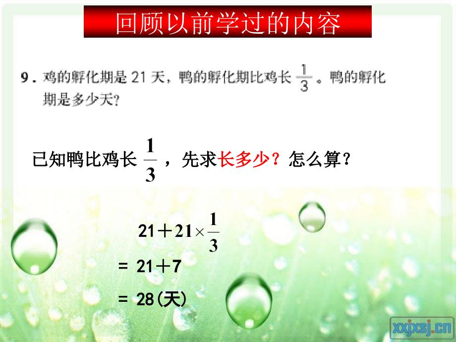 人教版六年级数学上册第三单元第六课时 分数除法应用题(例2)_第3页