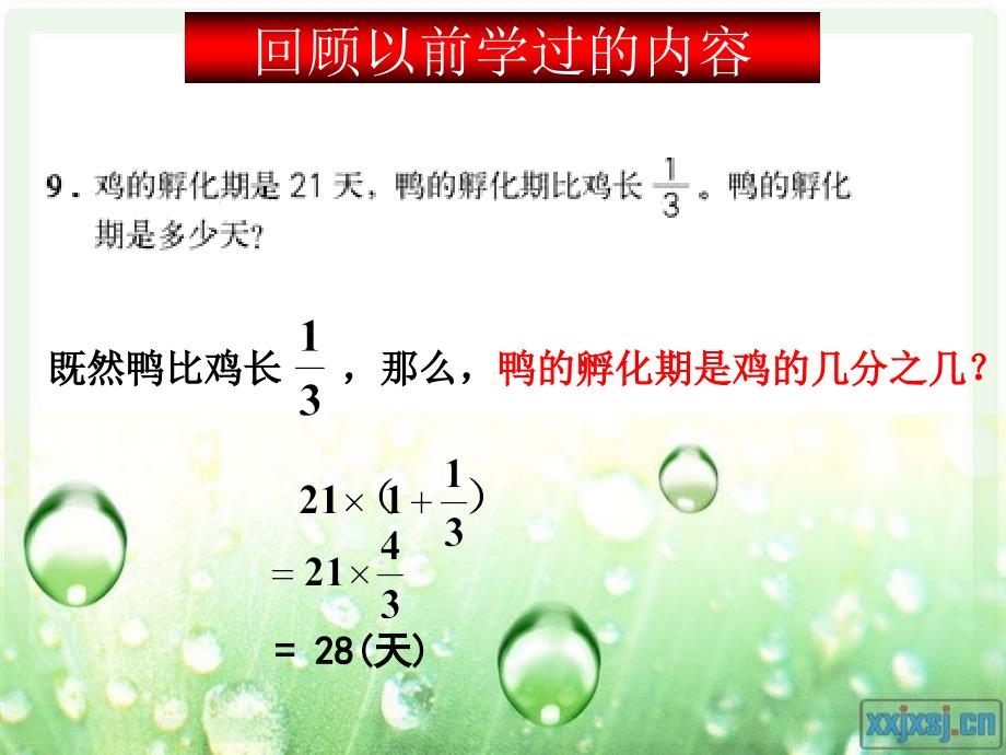 人教版六年级数学上册第三单元第六课时 分数除法应用题(例2)_第4页