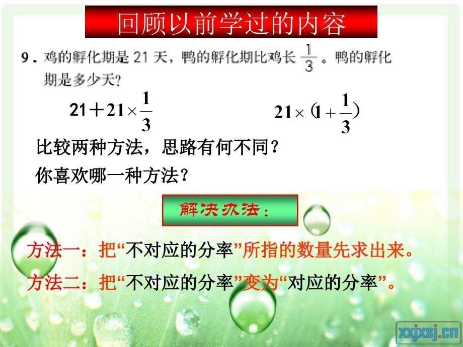 人教版六年级数学上册第三单元第六课时 分数除法应用题(例2)_第5页