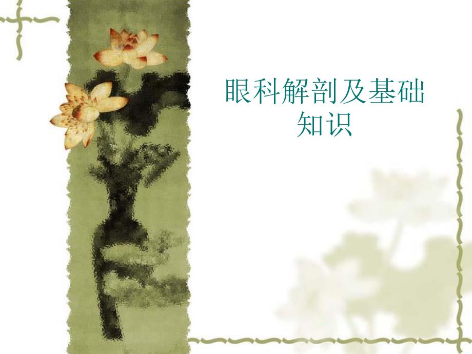眼科解剖及基础知识_第1页